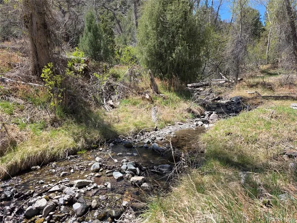 $2,900 | 286 West Creek Road, Howard, CO 81233