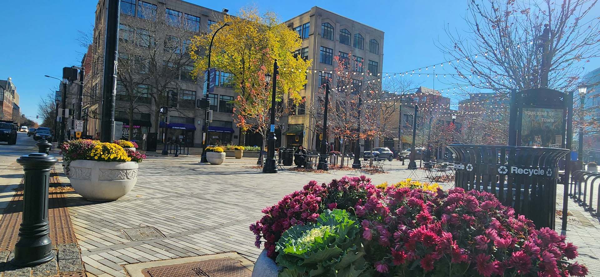 1585 Ridge Avenue, Unit 302 Evanston, IL 60201 - Photo 18 of 21 a swimming pool with outdoor seating and covered with plants