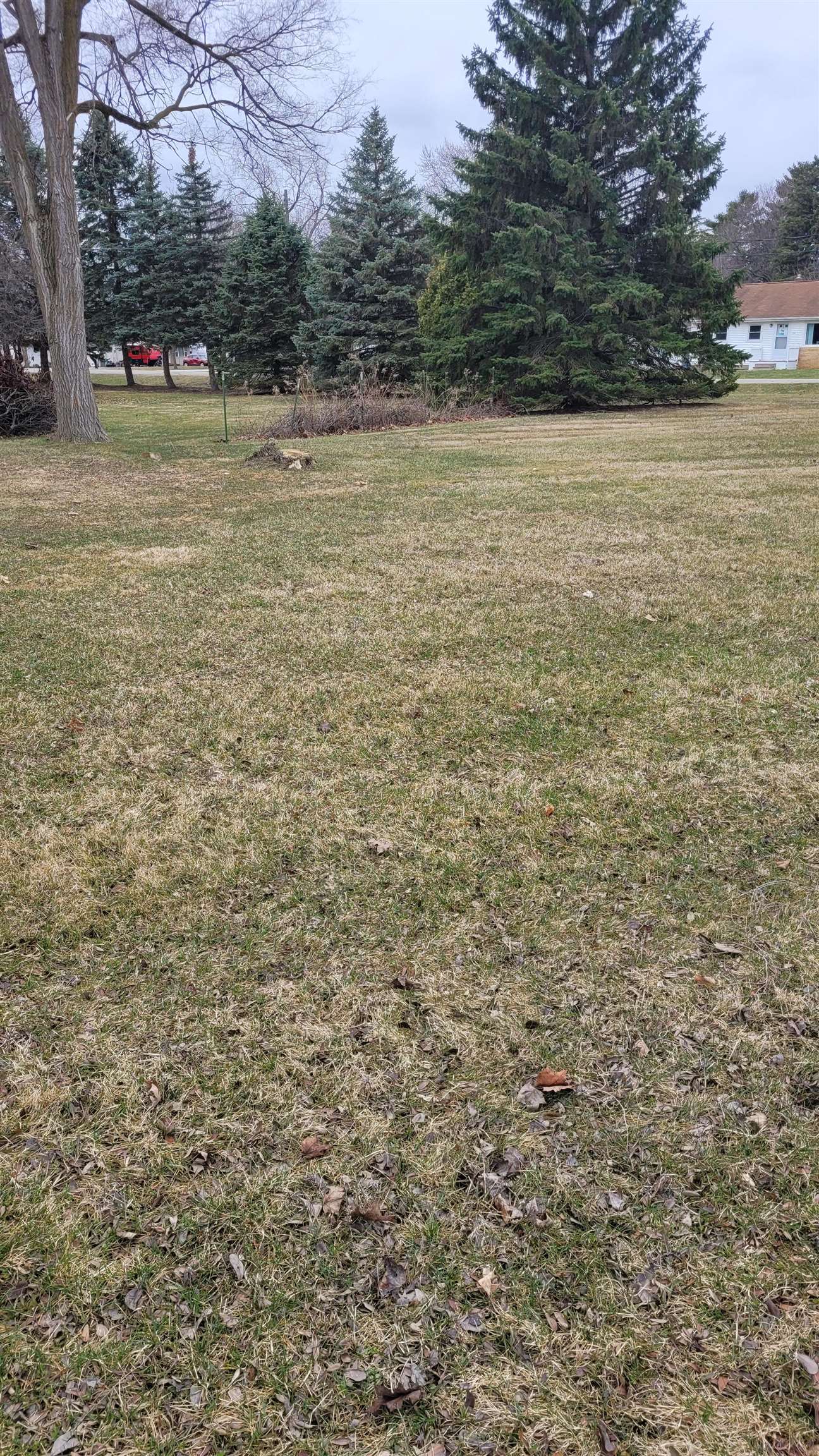 0 North Hintz Road Owosso, MI 48867 - Photo 2 of 3