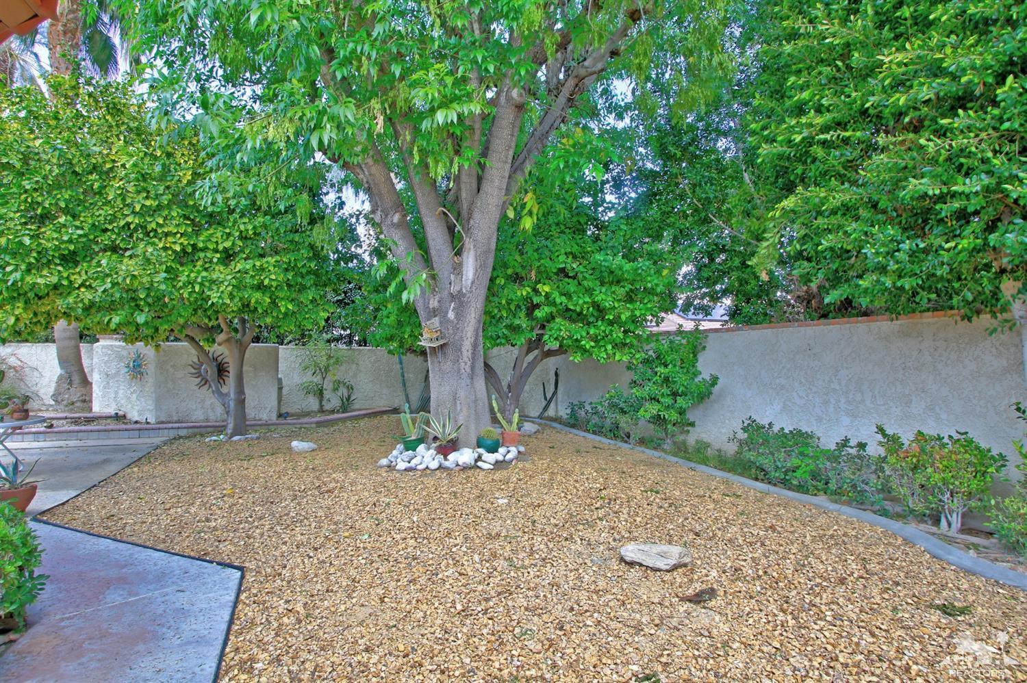 70400 Chappel Road Rancho Mirage, CA 92270 - Photo 48 of 49 a view of a backyard with a tree