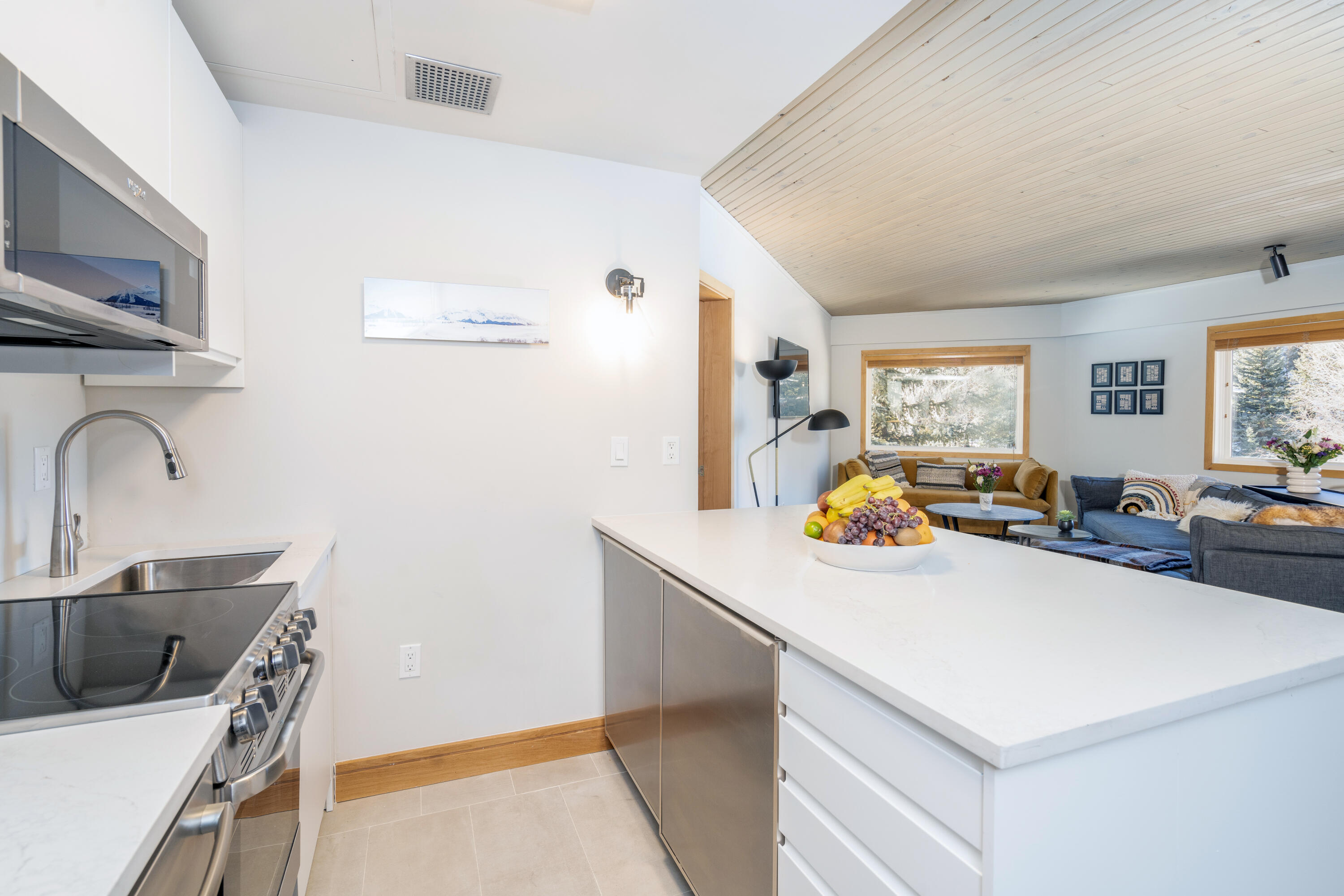 310 South Fir Street, Unit 305 Telluride, CO 81435 - Photo 2 of 14 a view of a kitchen with a sink dishwasher stove and refrigerator