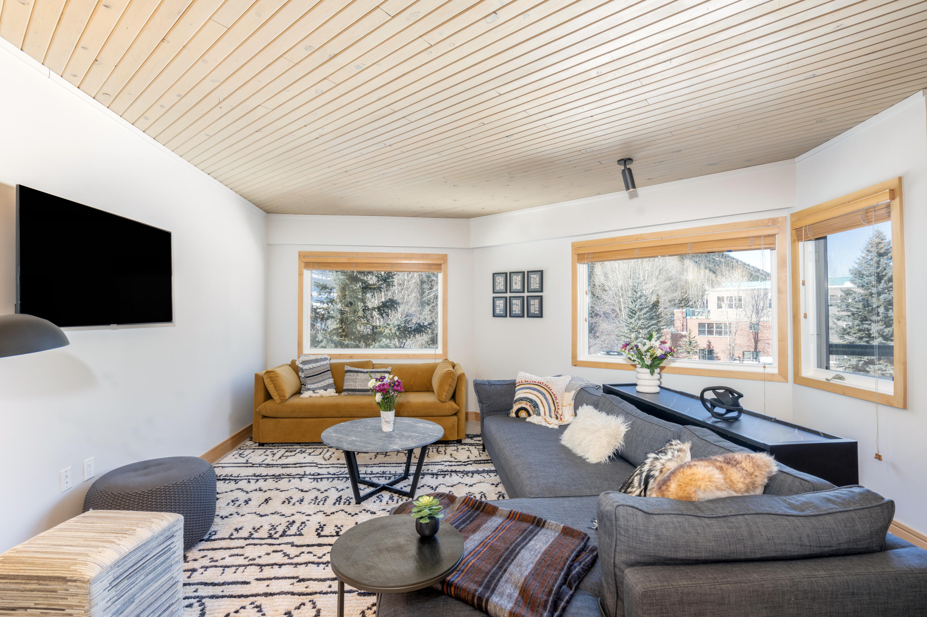 310 South Fir Street, Unit 305 Telluride, CO 81435 - Photo 3 of 14 a living room with furniture and a flat screen tv