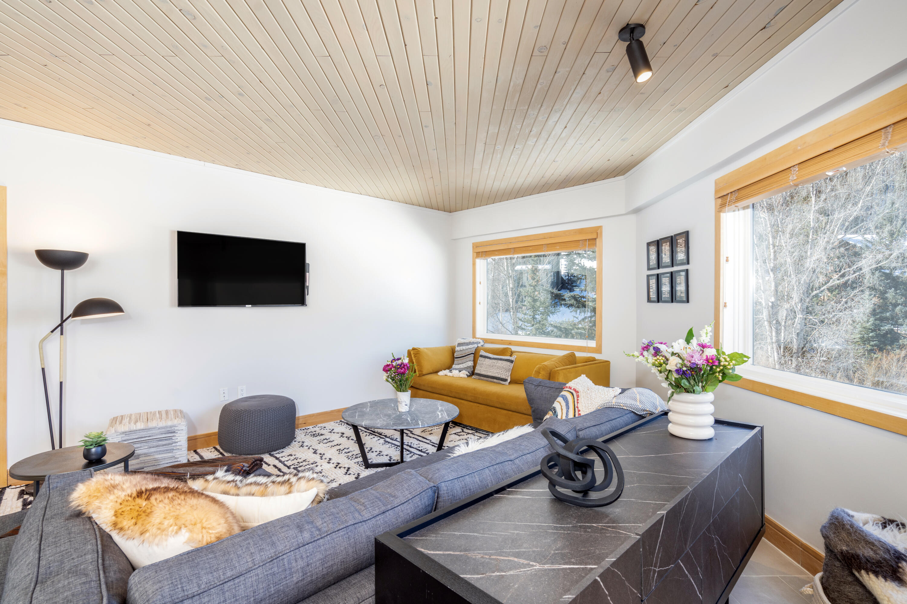 310 South Fir Street, Unit 305 Telluride, CO 81435 - Photo 4 of 14 a living room with furniture and flat screen tv