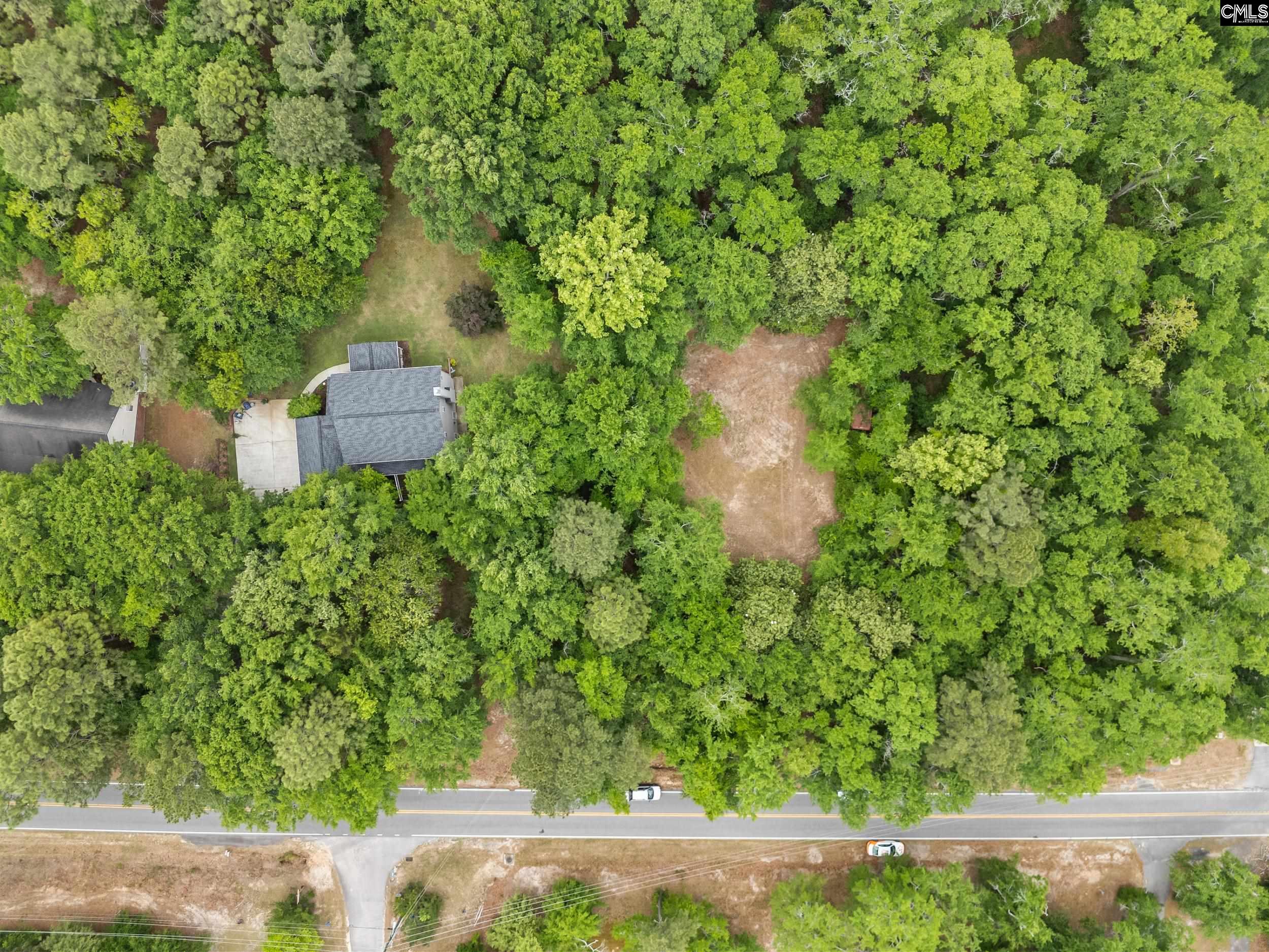 132 Forts Pond Road Pelion, SC 29123 - Photo 51 of 54