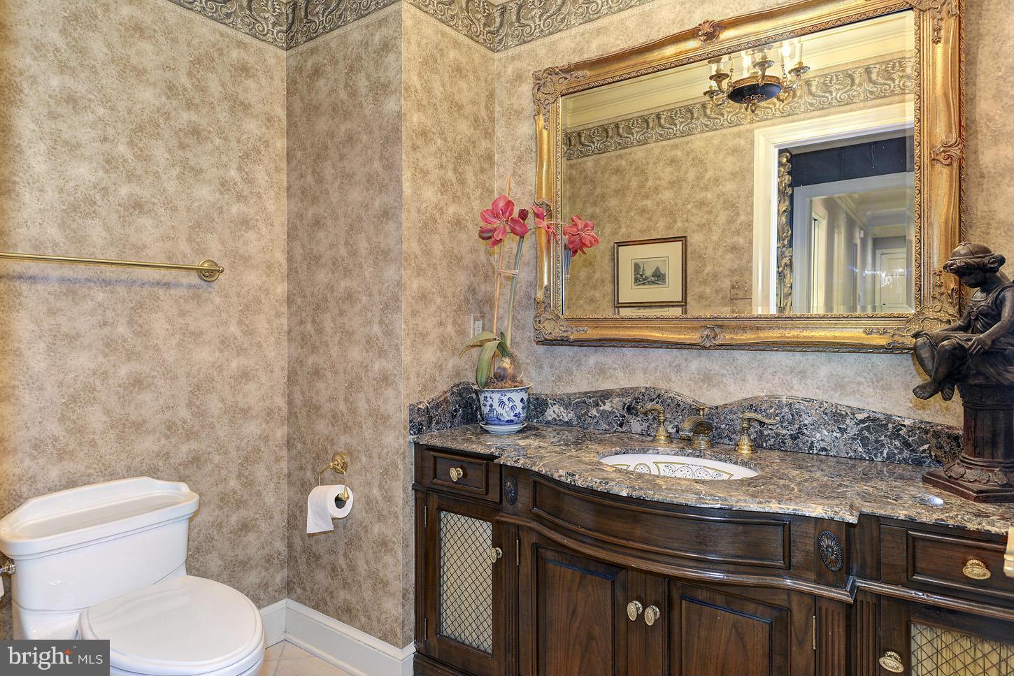 10200 Iron Gate Road Potomac, MD 20854 - Photo 14 of 30 Powder Room