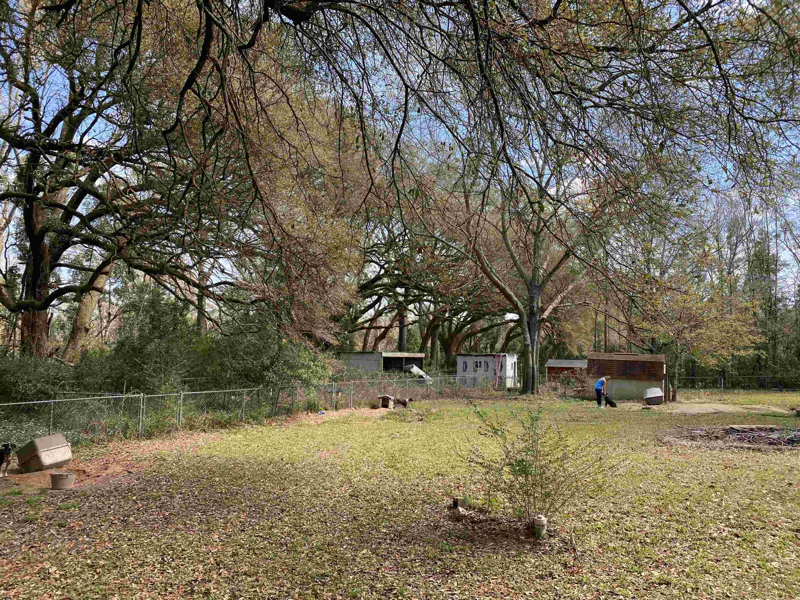 20185 Adams Acres Road Robertsdale, AL 36567 - Photo 14 of 49