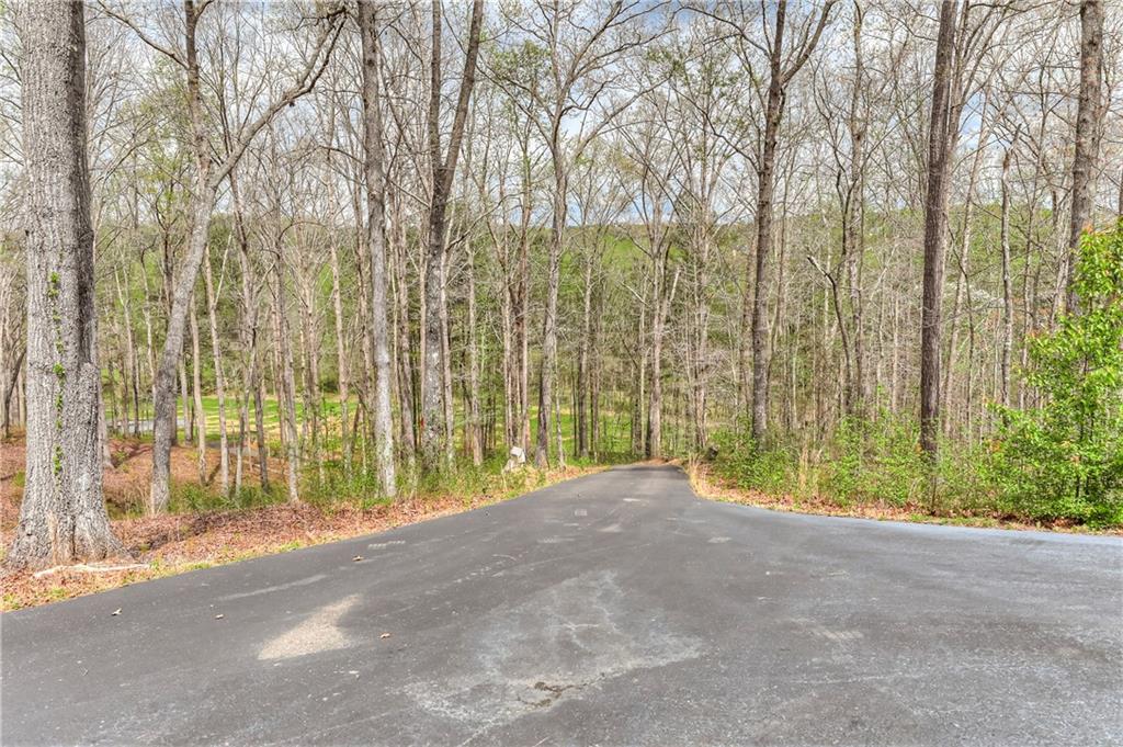 304 Garland Way Canton, GA 30115 - Photo 11 of 138