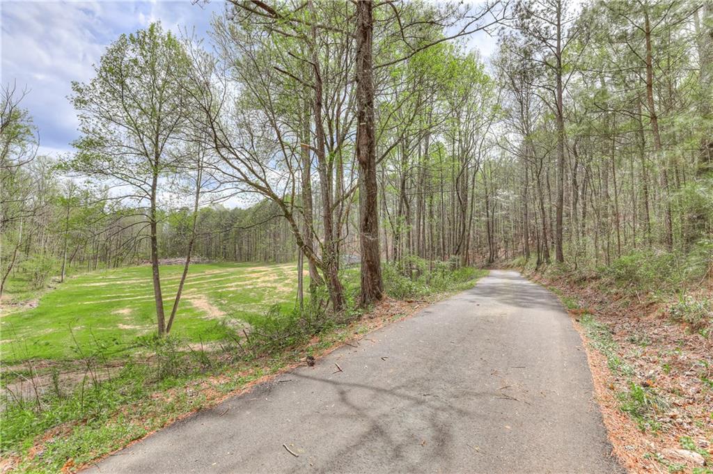 304 Garland Way Canton, GA 30115 - Photo 12 of 138