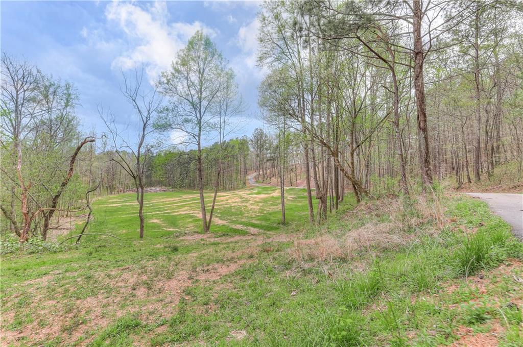 304 Garland Way Canton, GA 30115 - Photo 13 of 138