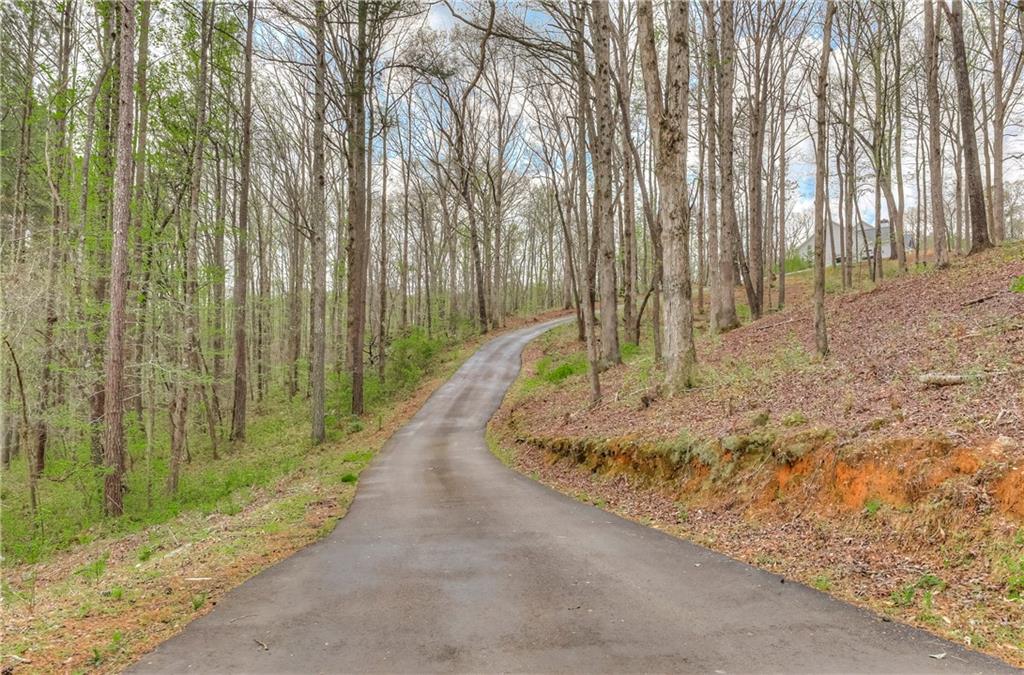 304 Garland Way Canton, GA 30115 - Photo 10 of 138 a view of a backyard with pathway