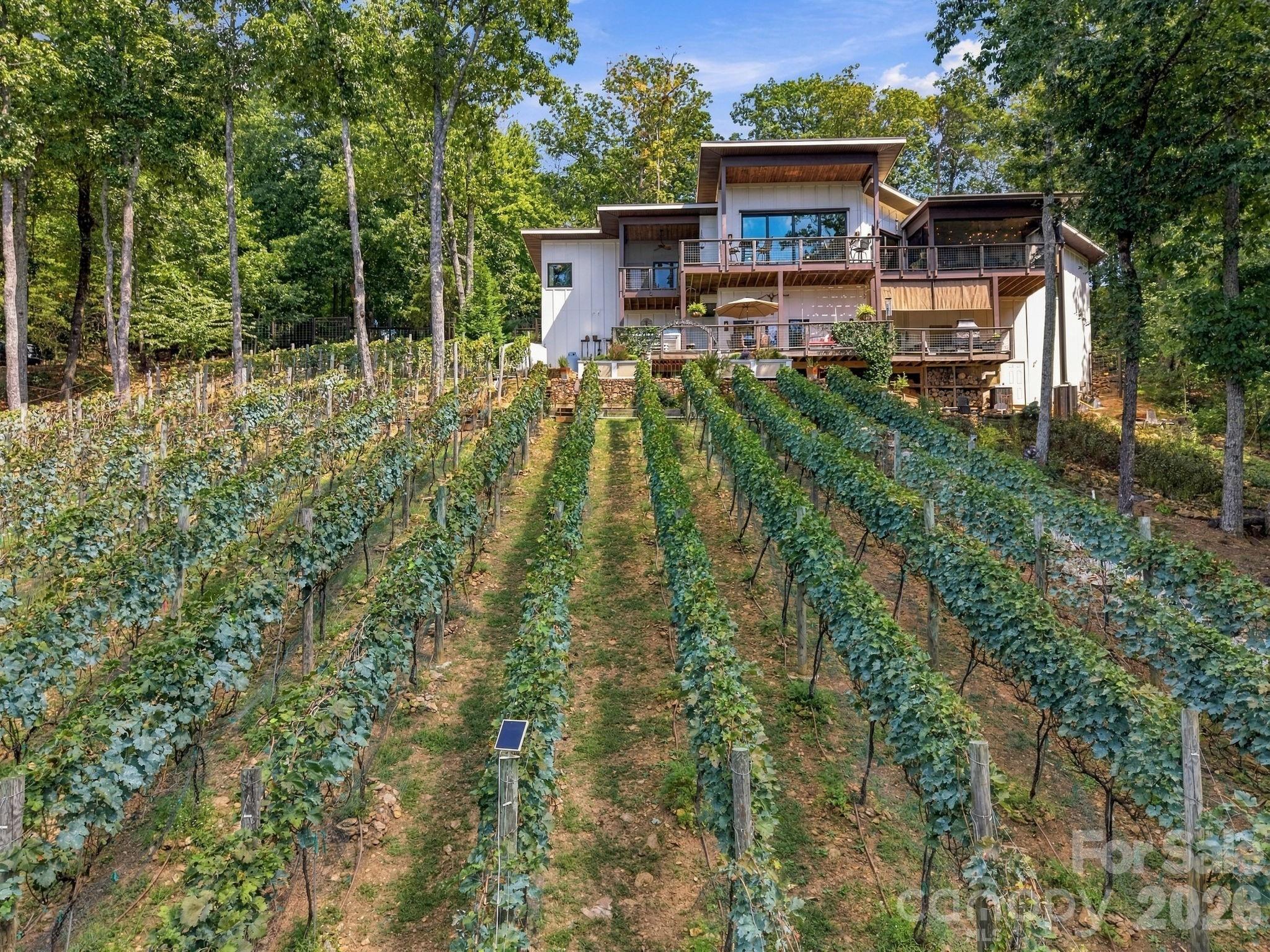 1133 Altamont Road Greenville, SC 29609 - Photo 37 of 47 Gallery Image 37