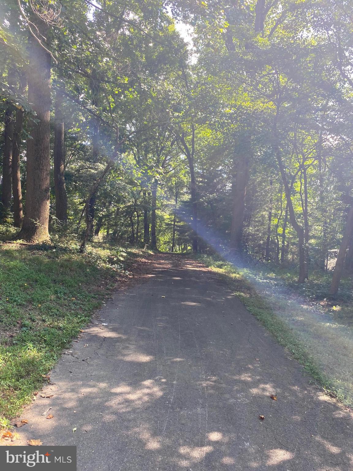 80 Kinseyville Road Nottingham, PA 19362 - Photo 4 of 19 Tree lined driveway