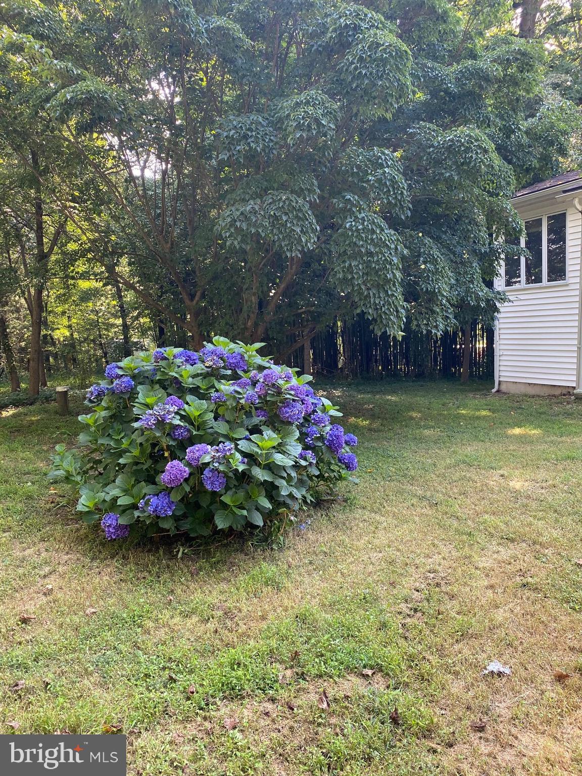 80 Kinseyville Road Nottingham, PA 19362 - Photo 6 of 19 Yard & trees
