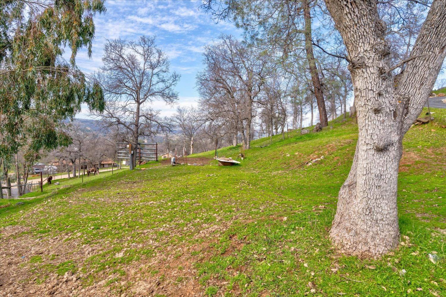 33273 Vetoll Road Coarsegold, CA 93614 - Photo 46 of 56 Gallery Image 46