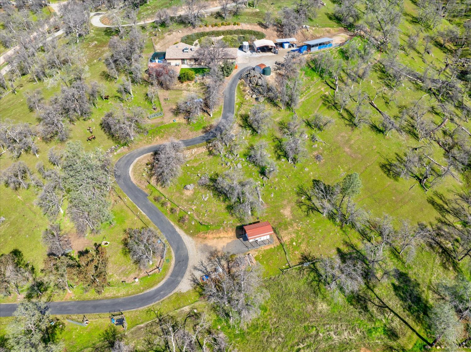 33273 Vetoll Road Coarsegold, CA 93614 - Photo 47 of 56 Gallery Image 47