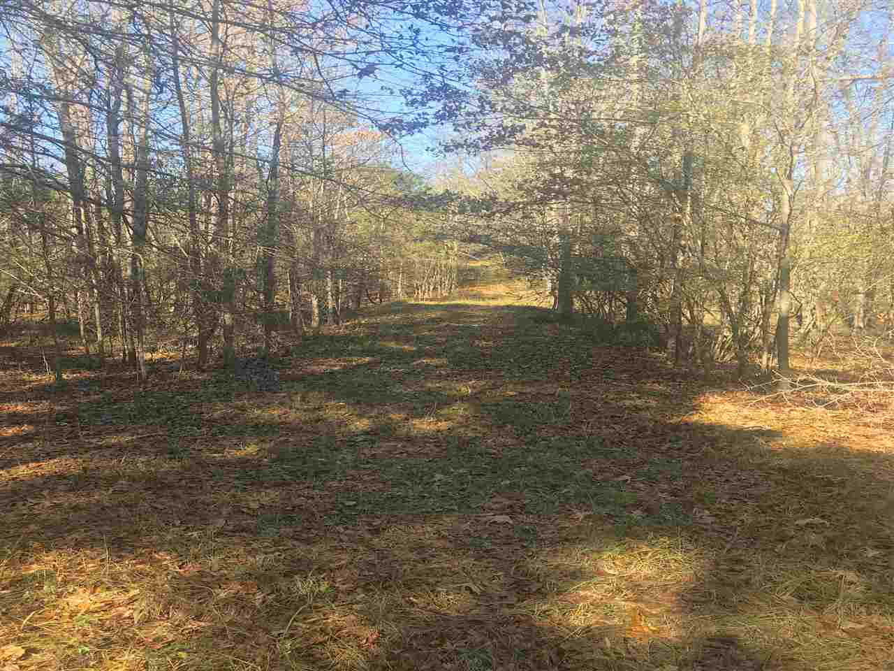 0 Spring Road Flora, MS 39071 - Photo 1 of 1 Photo 1