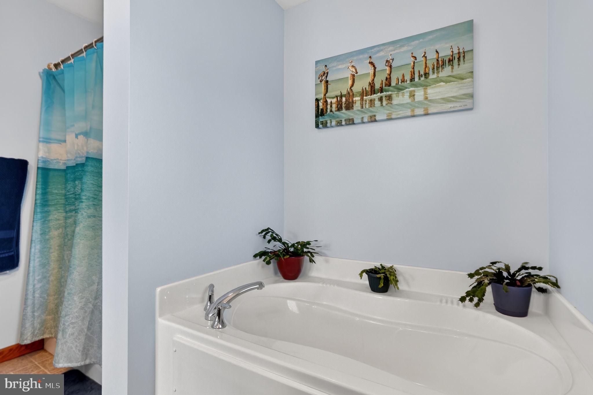 3220 Ridge Road Chincoteague Island, VA 23336 - Photo 26 of 46