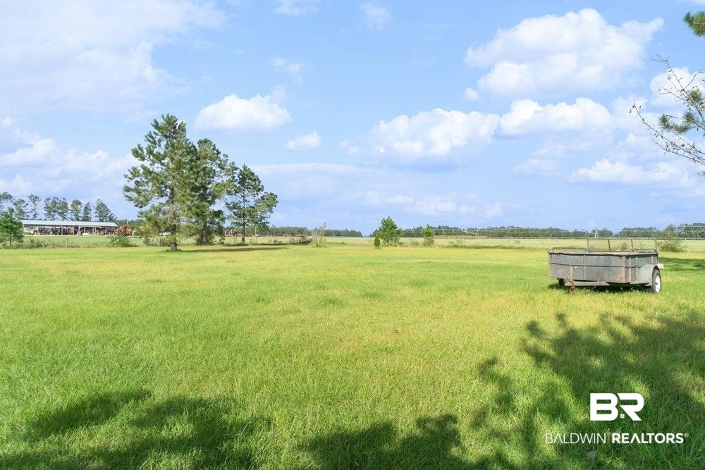 33183 Gilley Road Lillian, AL 36549 - Photo 5 of 24