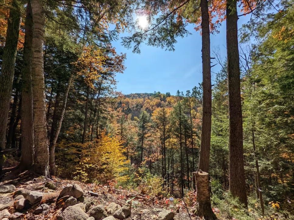 108 Tyler Way Bath, NH 03740 - Photo 8 of 24