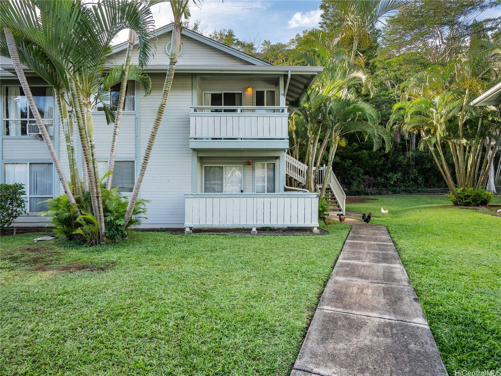 a backyard of a house with plants and large tree