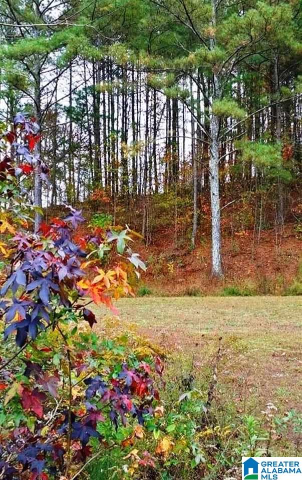 266 Lake David Road Lineville, AL 36266 - Photo 16 of 19