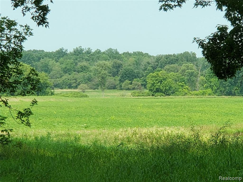 6473 Byron Road Howell, MI 48855 - Photo 2 of 5
