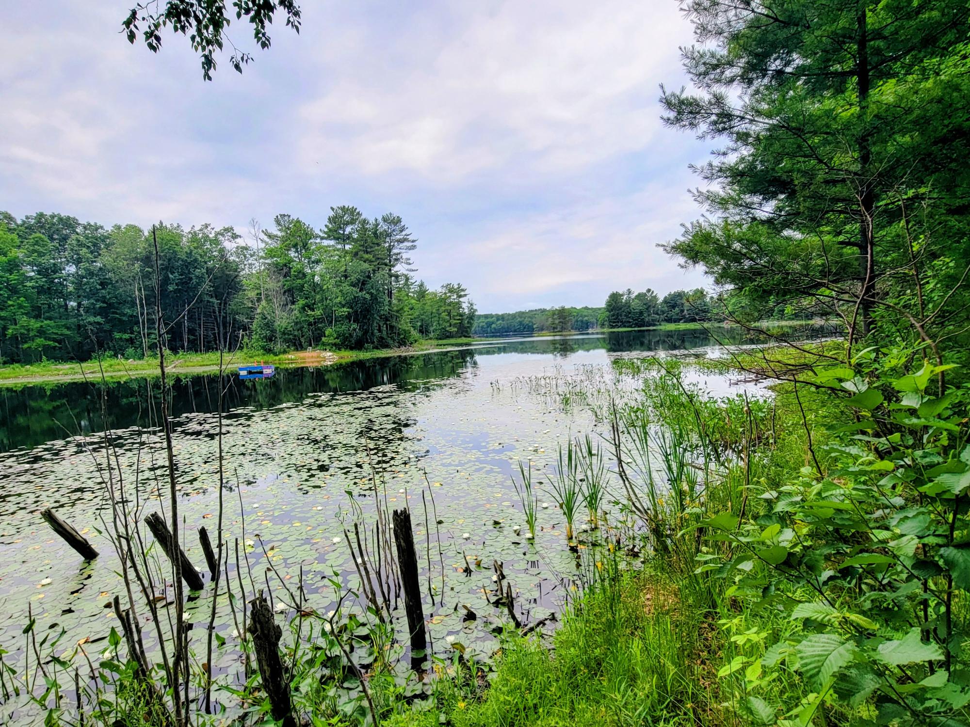 8745 Hartman Road Minocqua, WI 54548 - Photo 13 of 43 Gallery Image 13