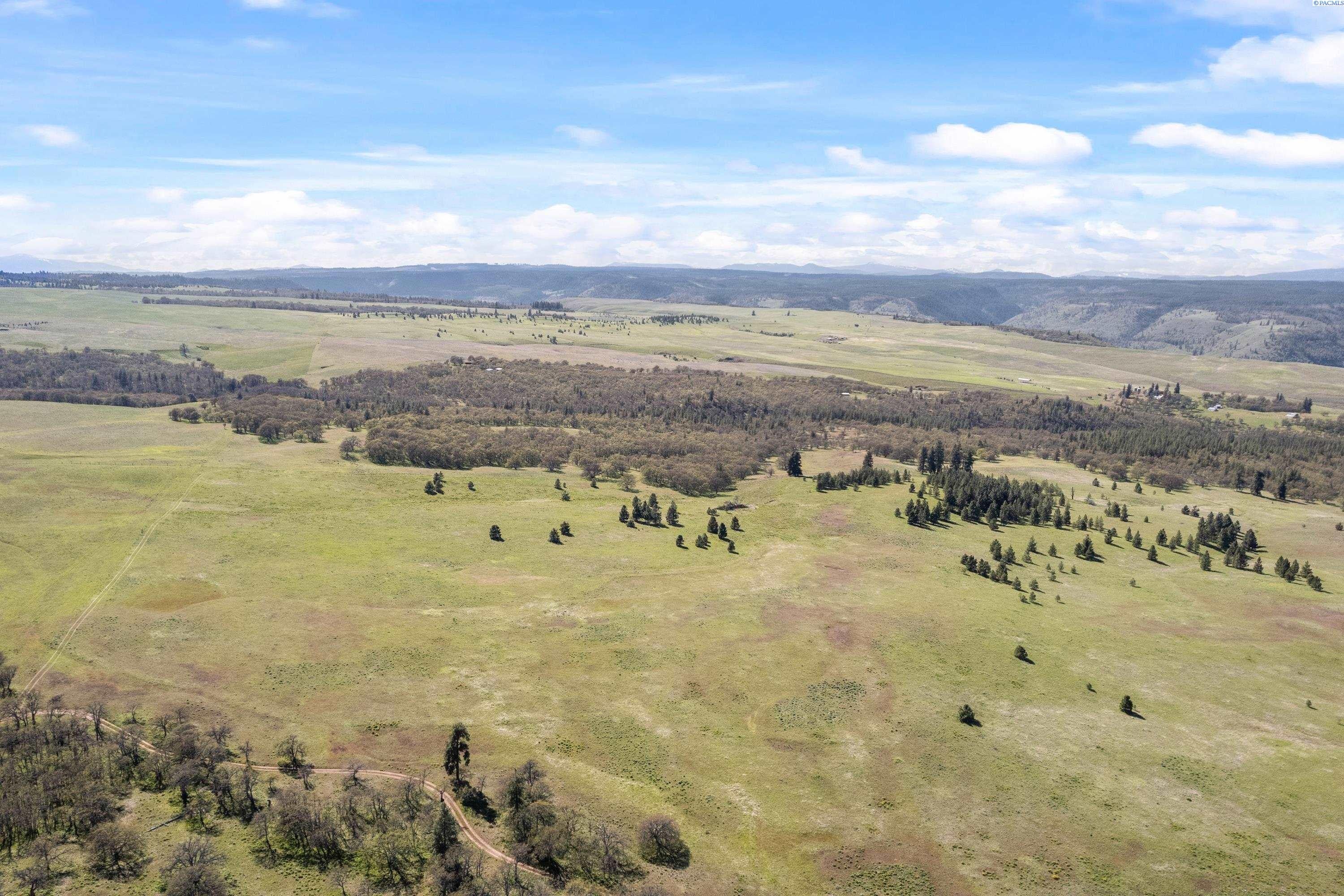 Lot 19 Schilling Road Lyle, WA 98635 - Photo 23 of 39 Gallery Image 23