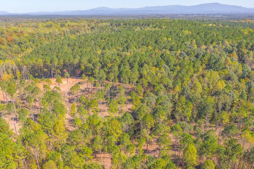 Lot 42 Crow Road Dalton, GA 30721 - Photo 5 of 7 5