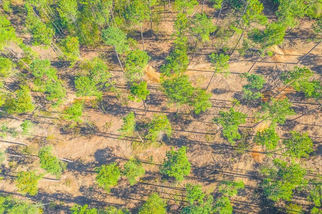 Lot 42 Crow Road Dalton, GA 30721 - Photo 6 of 7 6