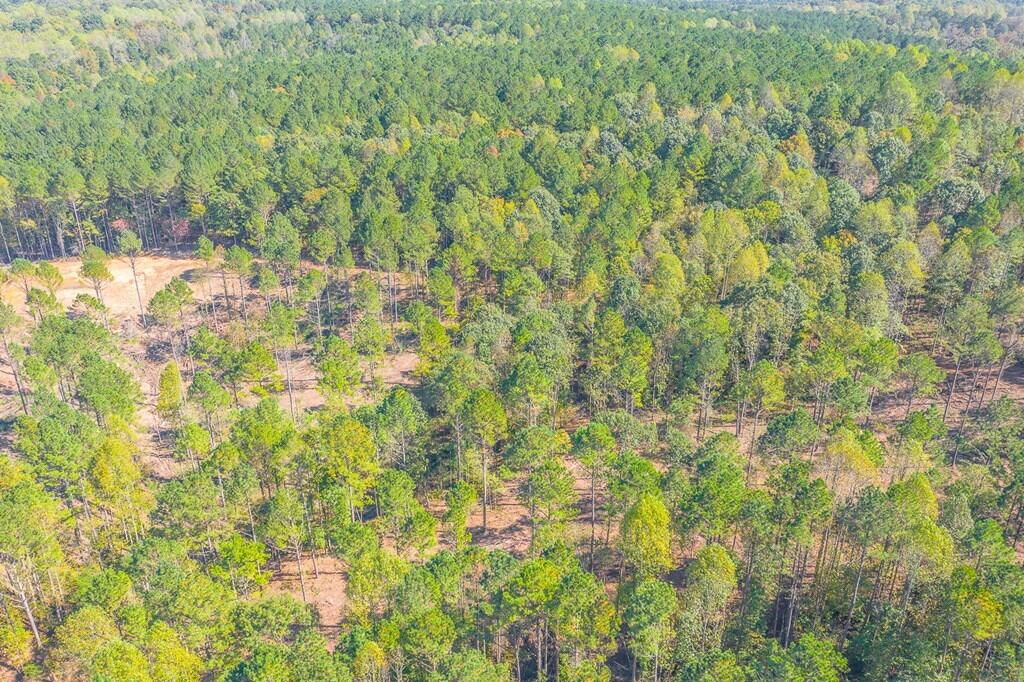 Lot 42 Crow Road Dalton, GA 30721 - Photo 7 of 7 7