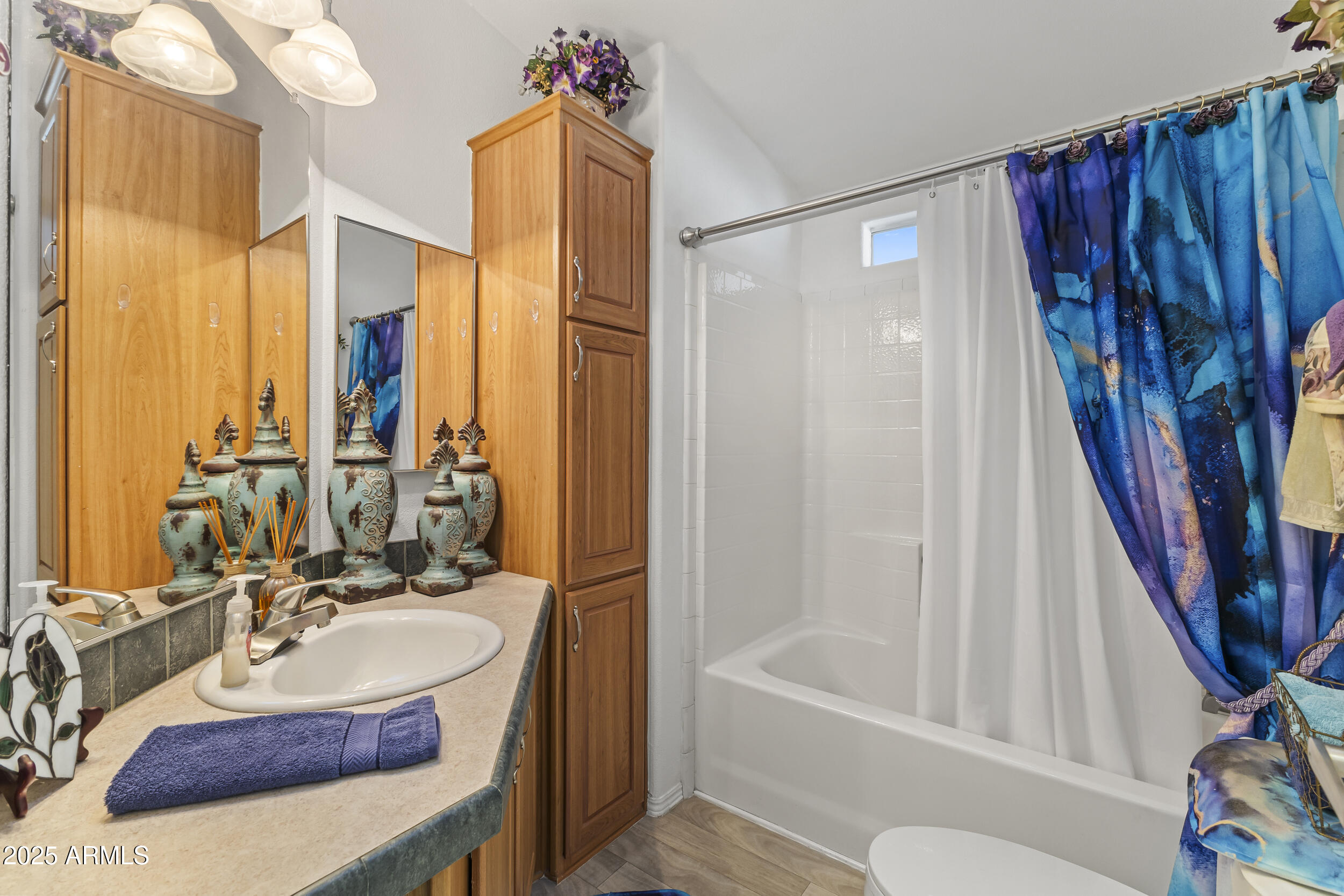 2550 South Ellsworth Road, Unit 715 Mesa, AZ 85209 - Photo 7 of 35 Bathroom