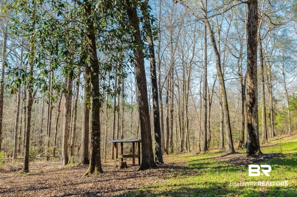 0 Private Road Millry, AL 36558 - Photo 13 of 50