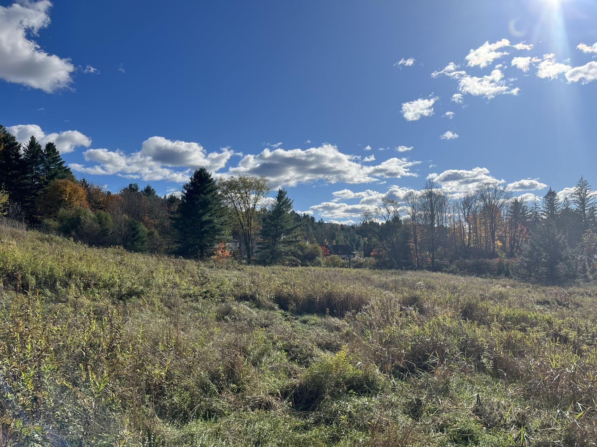 0 Old Farm Road, Unit C Stowe, VT 05672 - Photo 5 of 25