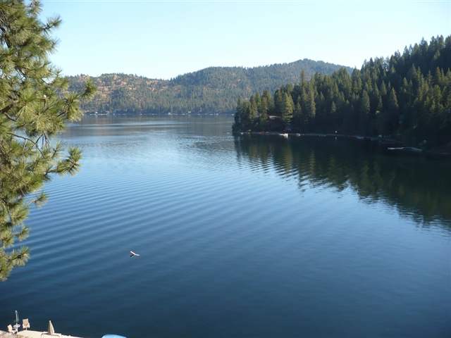 3994 Cedar Bay Road, Unit 59 Loon Lake, WA 99148 - Photo 2 of 9 Gallery Image 2