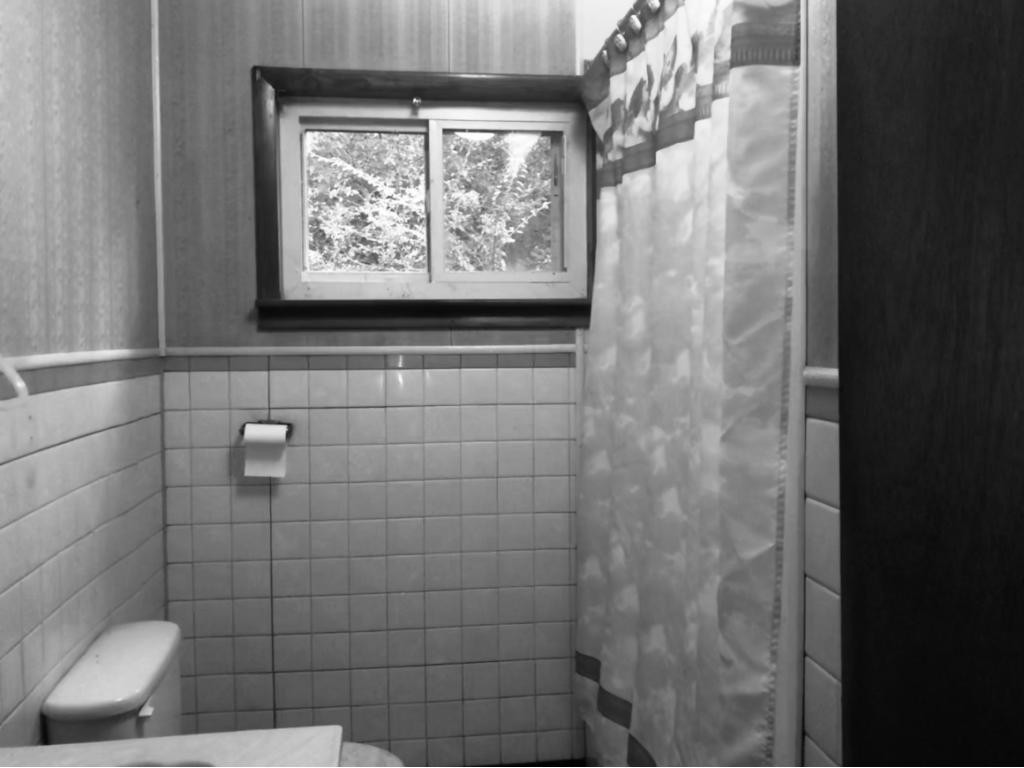 108 Whaley Town Road Butler, TN 37640 - Photo 9 of 28 Bathroom 108