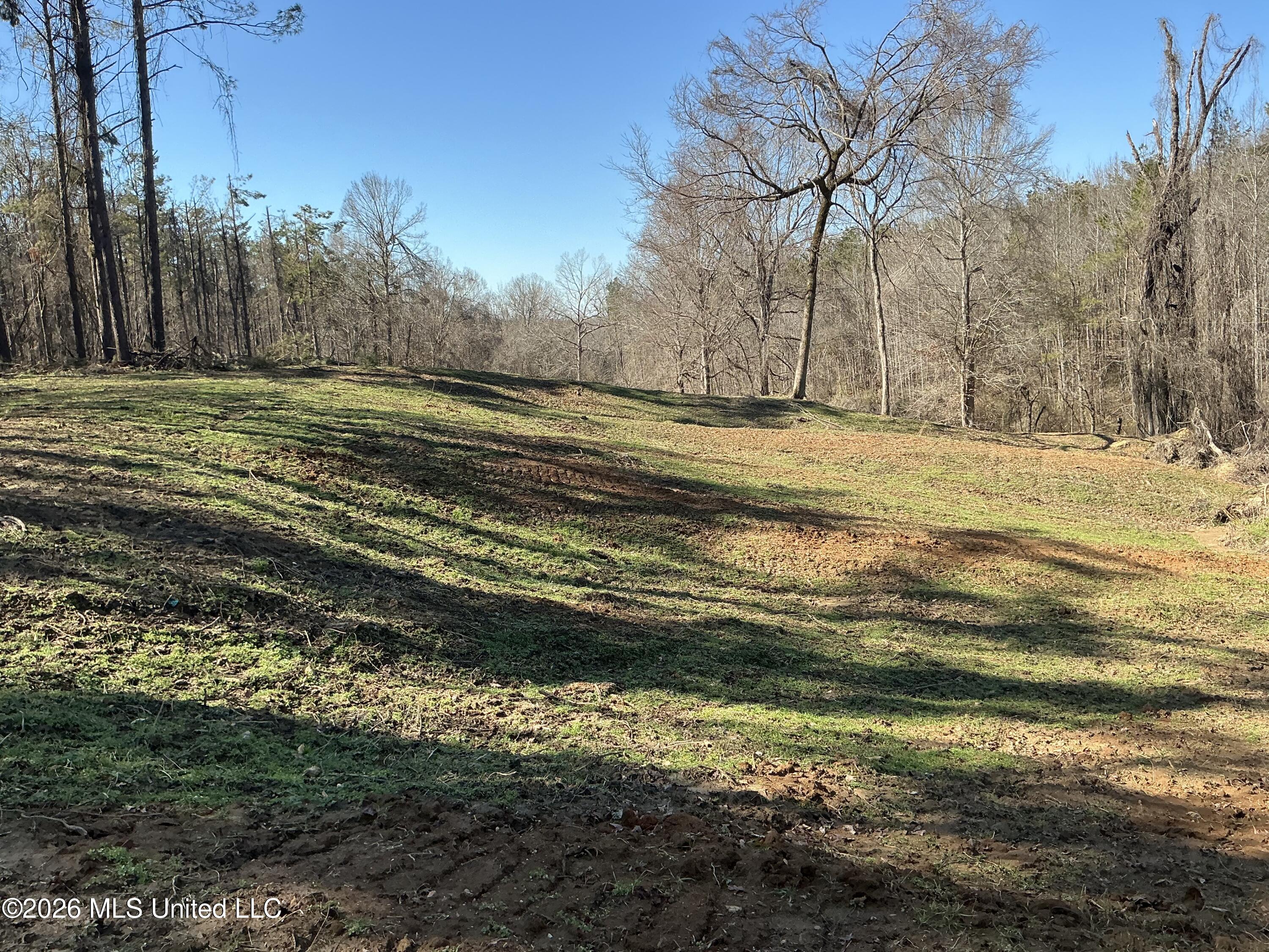 Norwood Road Carrollton, MS 38917 - Photo 3 of 28 IMG_0676