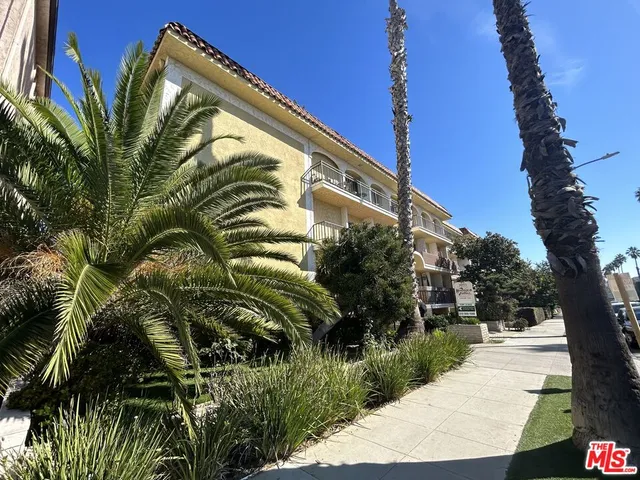 a view of a street with a tree
