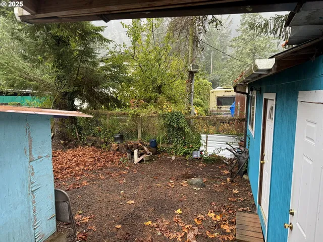 a view of a yard with a tree