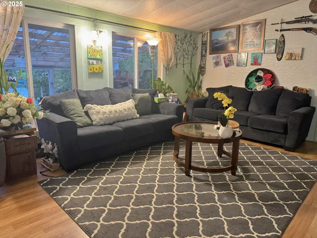 a living room with furniture and a rug