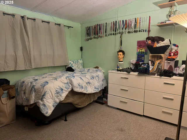 a bedroom with a bed and a dresser