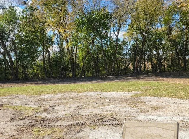 a view of a yard with large trees