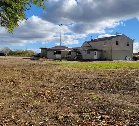 a view of a forest with trees in the background