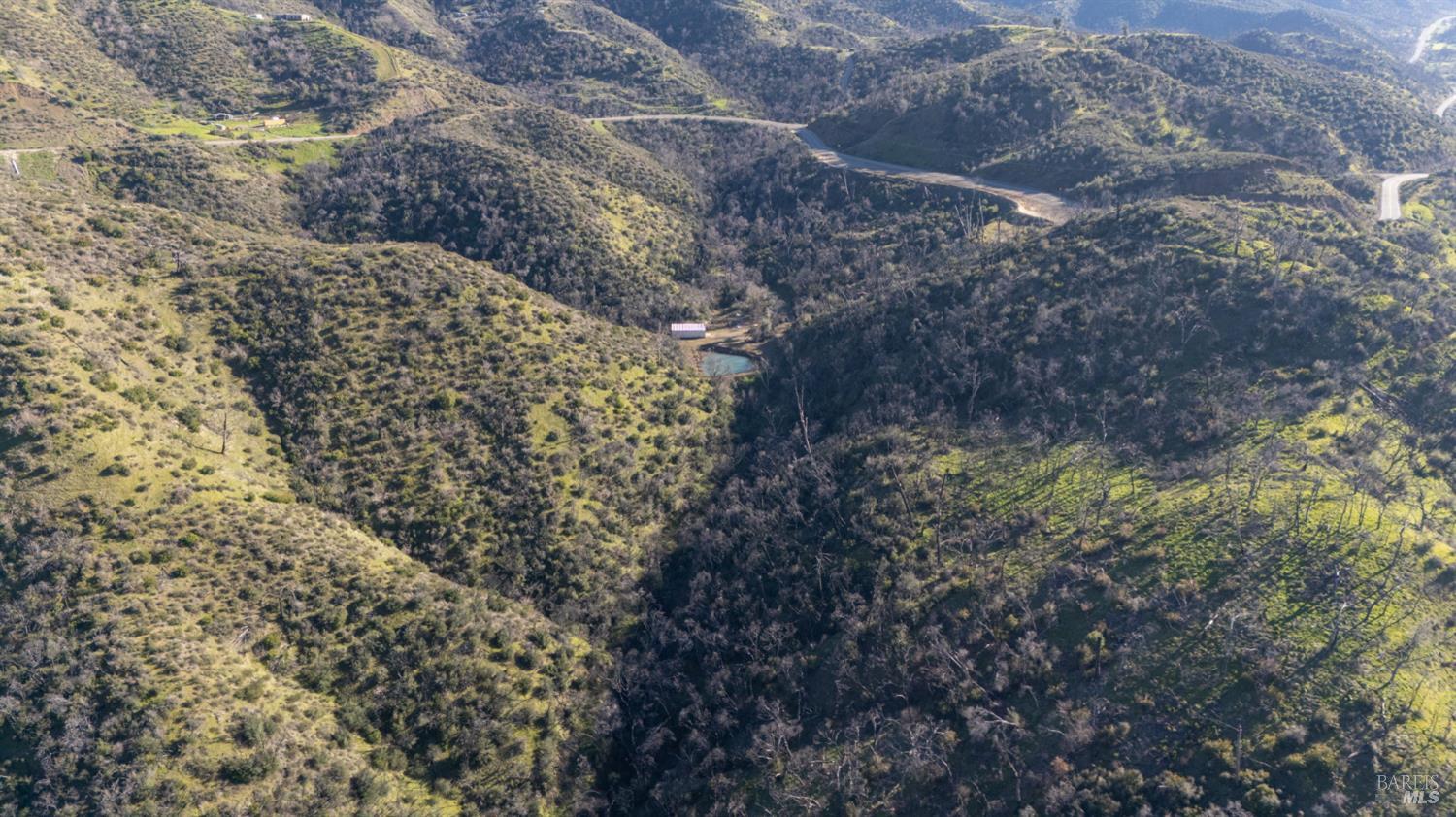 a view of a yard with plants and tree s