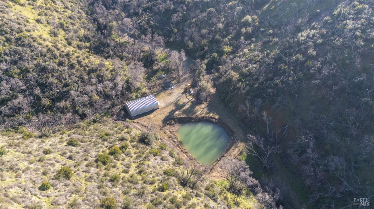 0 State Highway Napa, CA 94558 - Photo 16 of 16 a backyard of a house with a yard and large tree