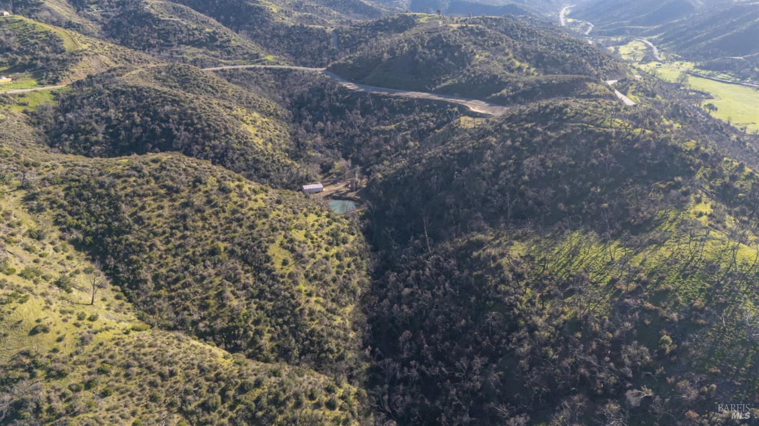 0 State Highway Napa, CA 94558 - Photo 5 of 16 a view of a dry yard with trees
