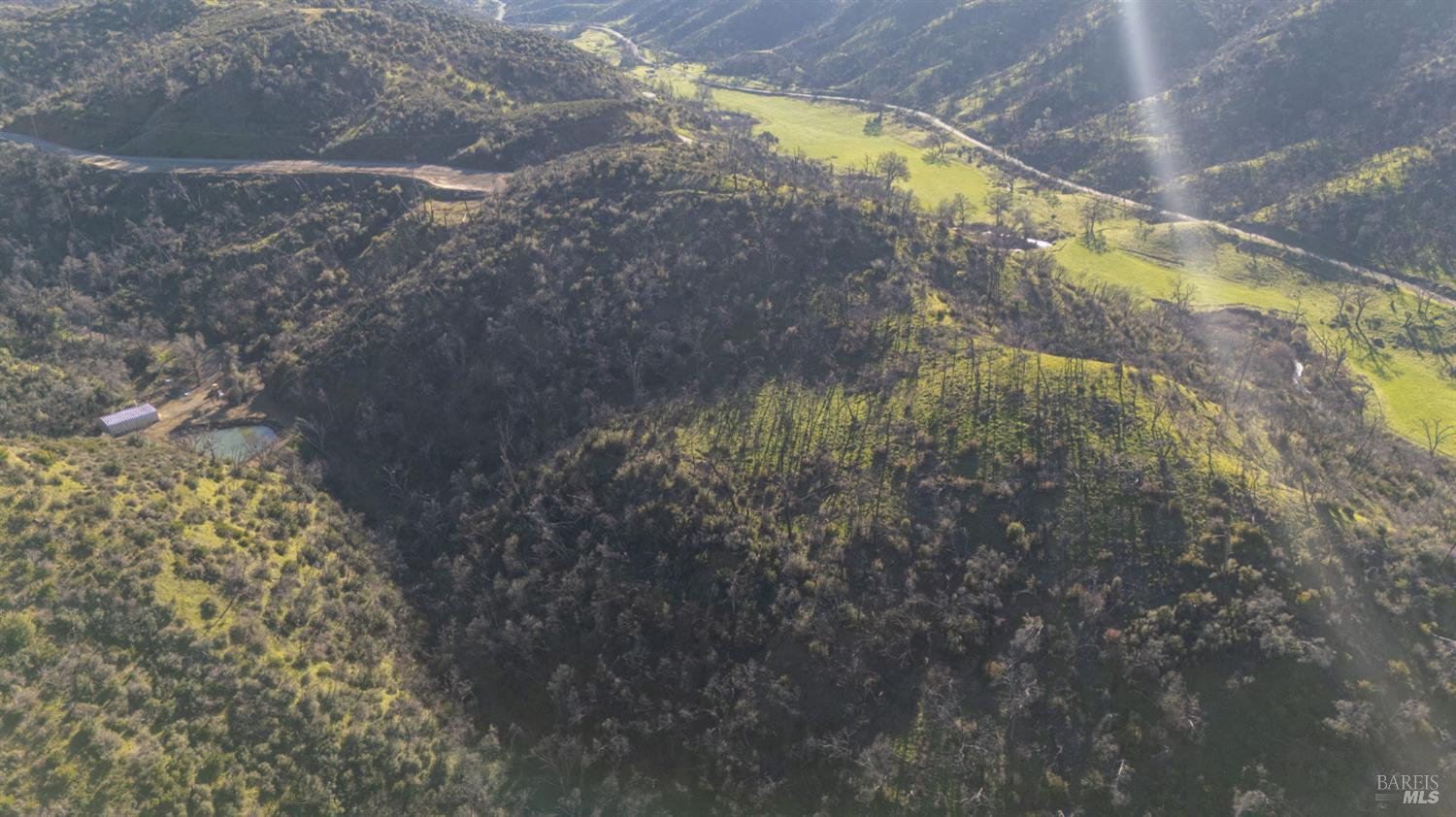 0 State Highway Napa, CA 94558 - Photo 6 of 16 a view of a yard
