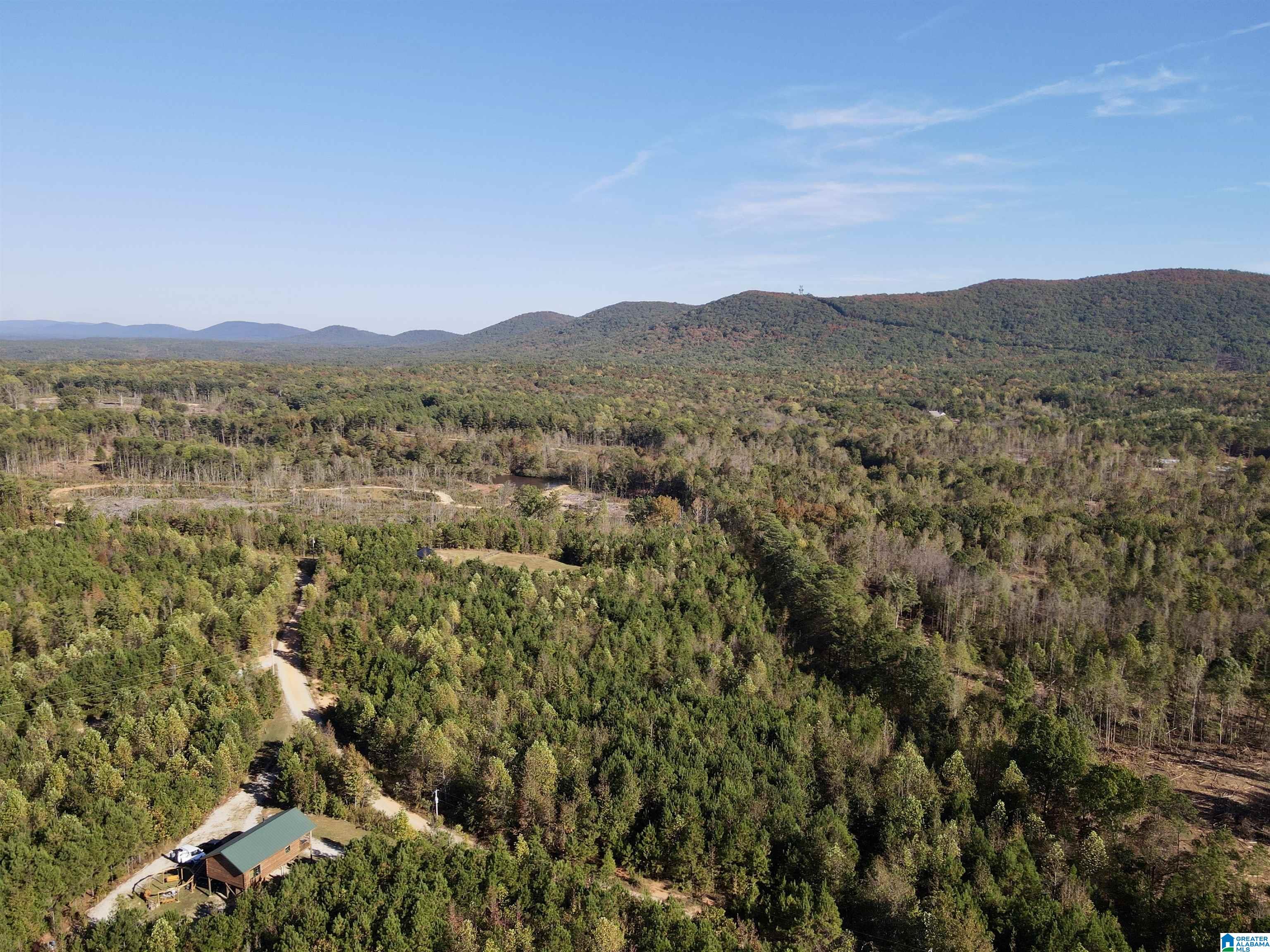 7070 Rendalia Motorway Talladega, AL 35160 - Photo 7 of 28
