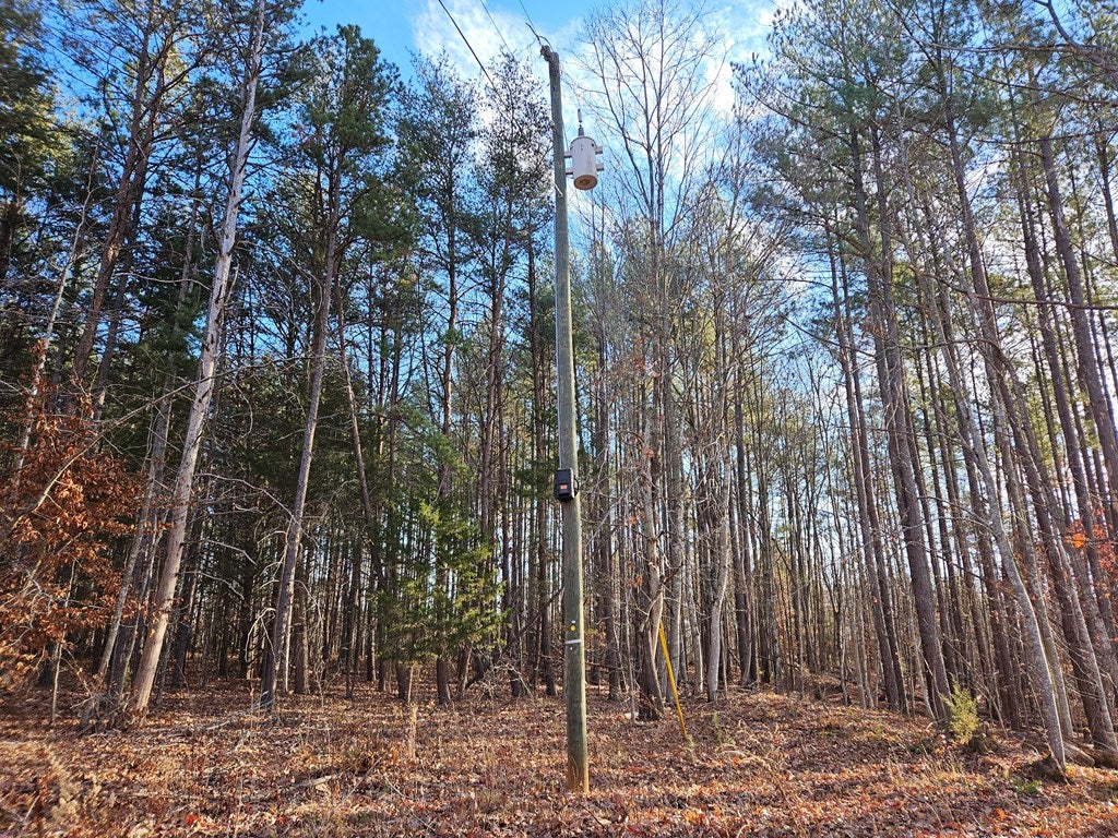 657 Spencer Road, Unit 12 Dillwyn, VA 23936 - Photo 2 of 14 Gallery Image 2