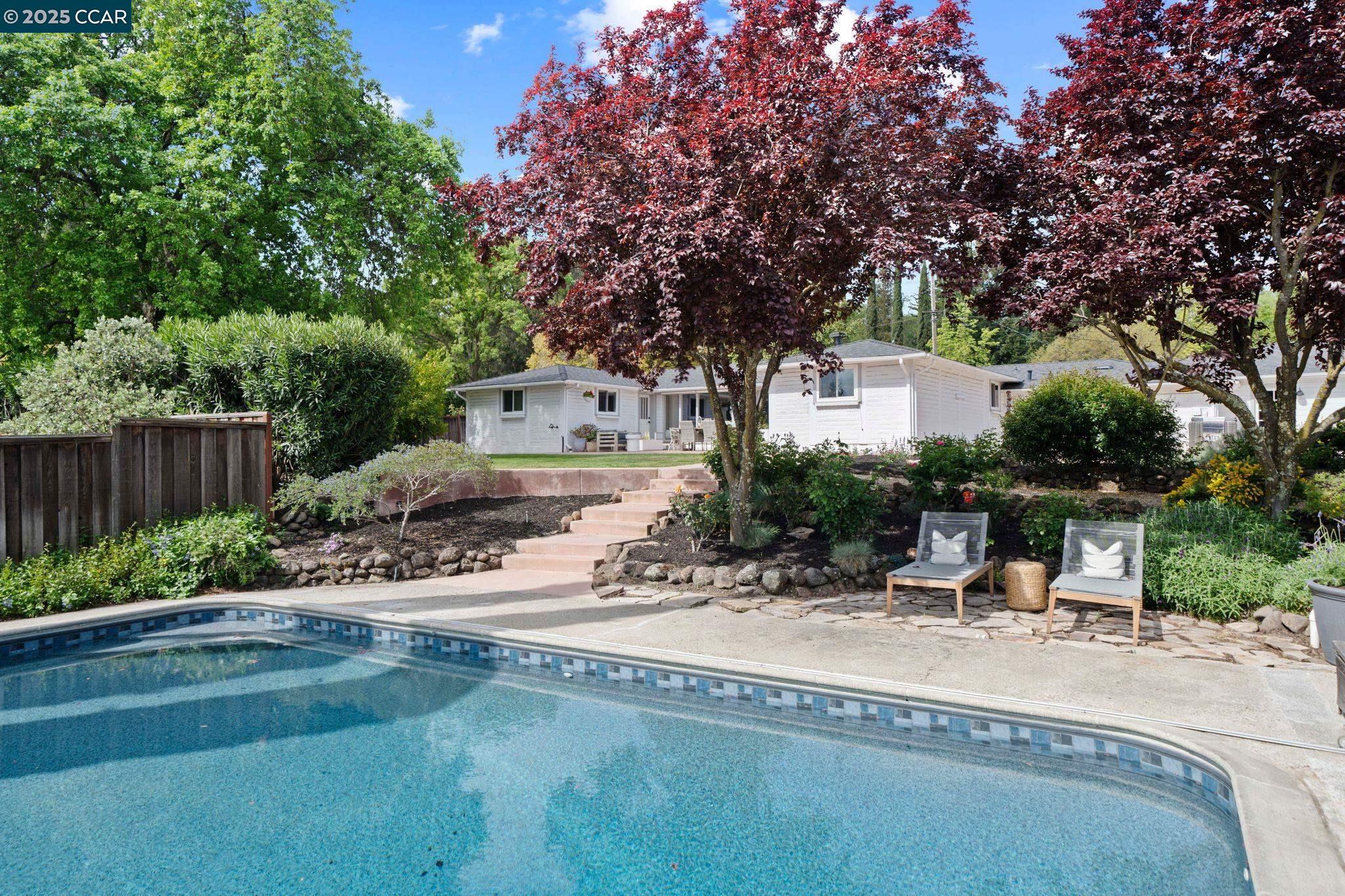 a view of a park with plants and bench
